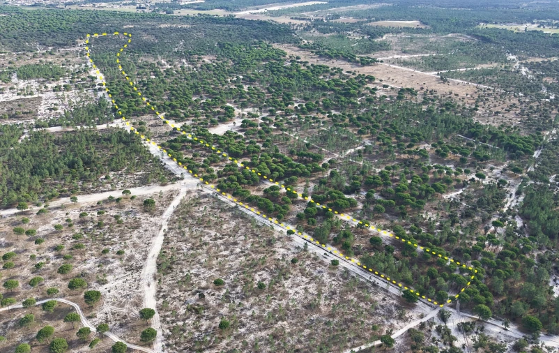 Terreno para Venda em Grândola e Santa Margarida da Serra