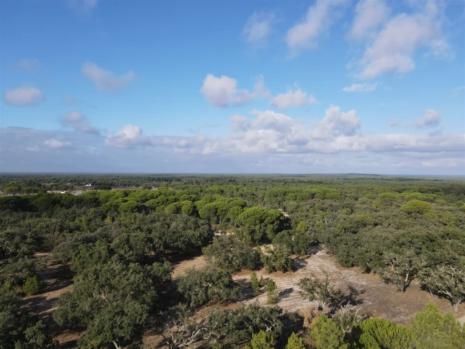Terreno para Venda em Grândola e Santa Margarida da Serra Foto 17