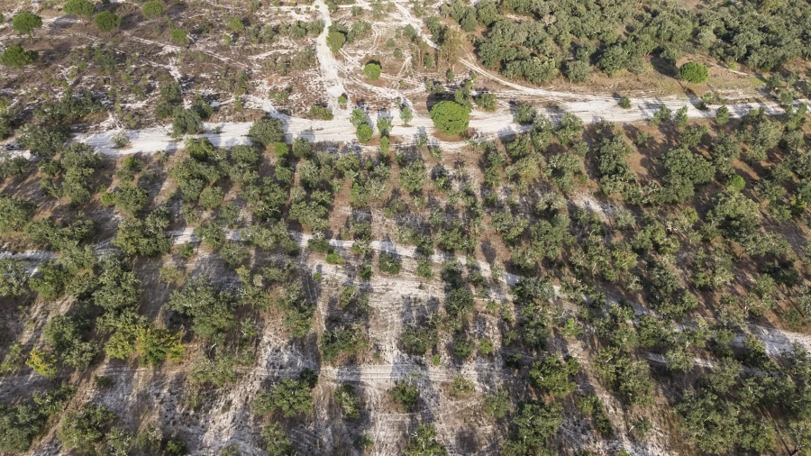 Terreno para Venda em Grândola e Santa Margarida da Serra Foto 20