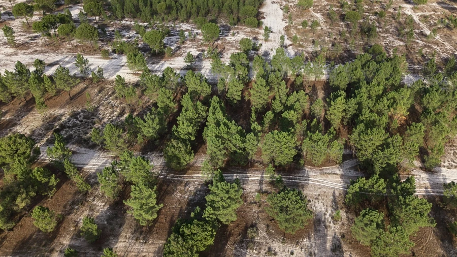 Terreno para Venda em Grândola e Santa Margarida da Serra Foto 17