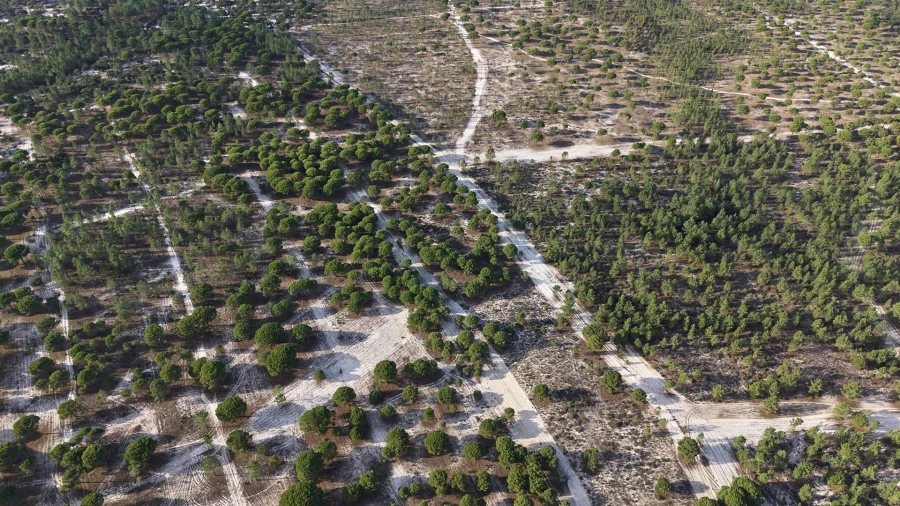 Terreno para Venda em Grândola e Santa Margarida da Serra Foto 3