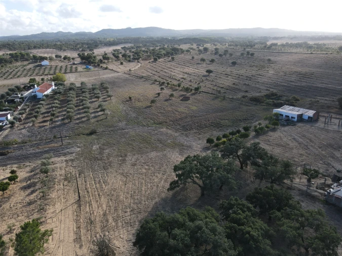 Terreno para Venda em Grândola e Santa Margarida da Serra Foto 11