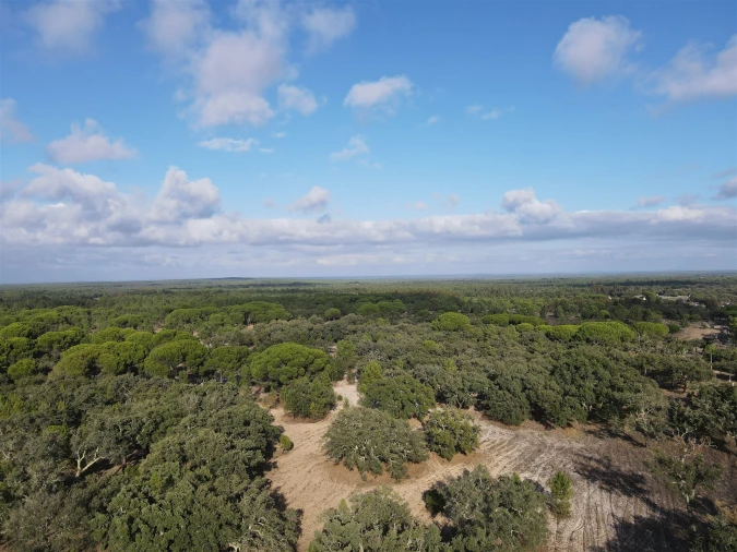 Terreno para Venda em Grândola e Santa Margarida da Serra Foto 13
