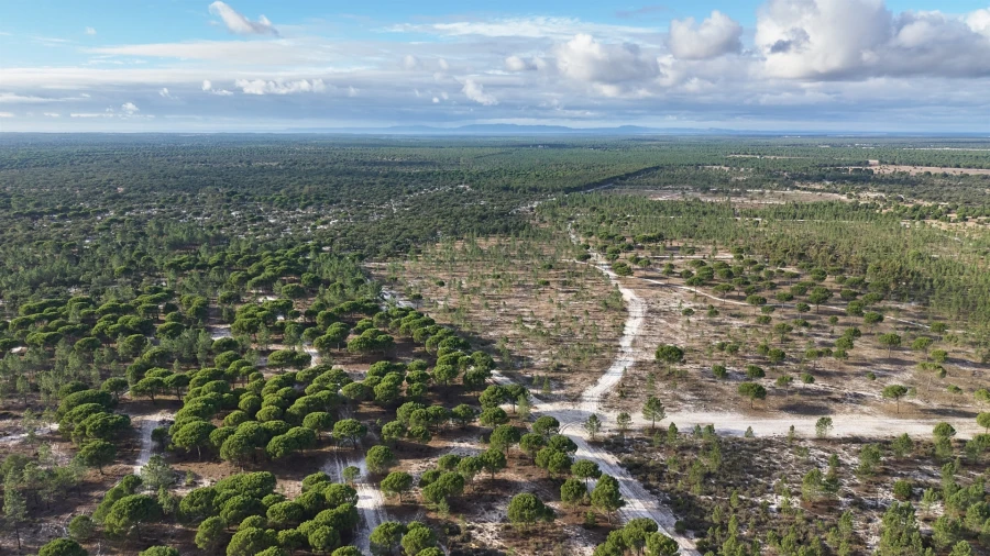 Terreno para Venda em Grândola e Santa Margarida da Serra Foto 13