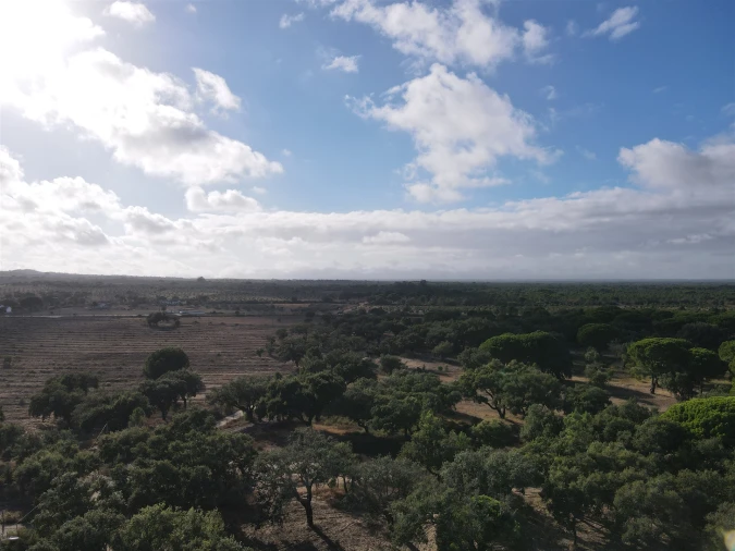 Terreno para Venda em Grândola e Santa Margarida da Serra Foto 15