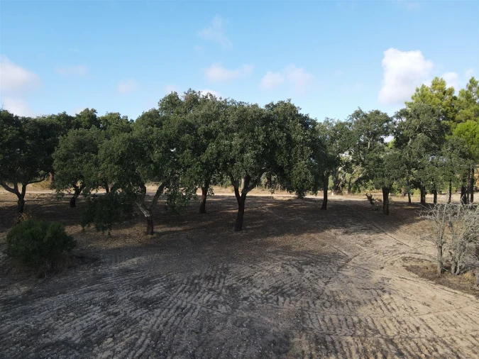Terreno para Venda em Grândola e Santa Margarida da Serra Foto 20
