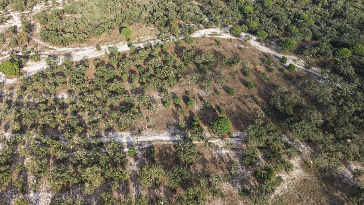 Terreno para Venda em Grândola e Santa Margarida da Serra Foto 19