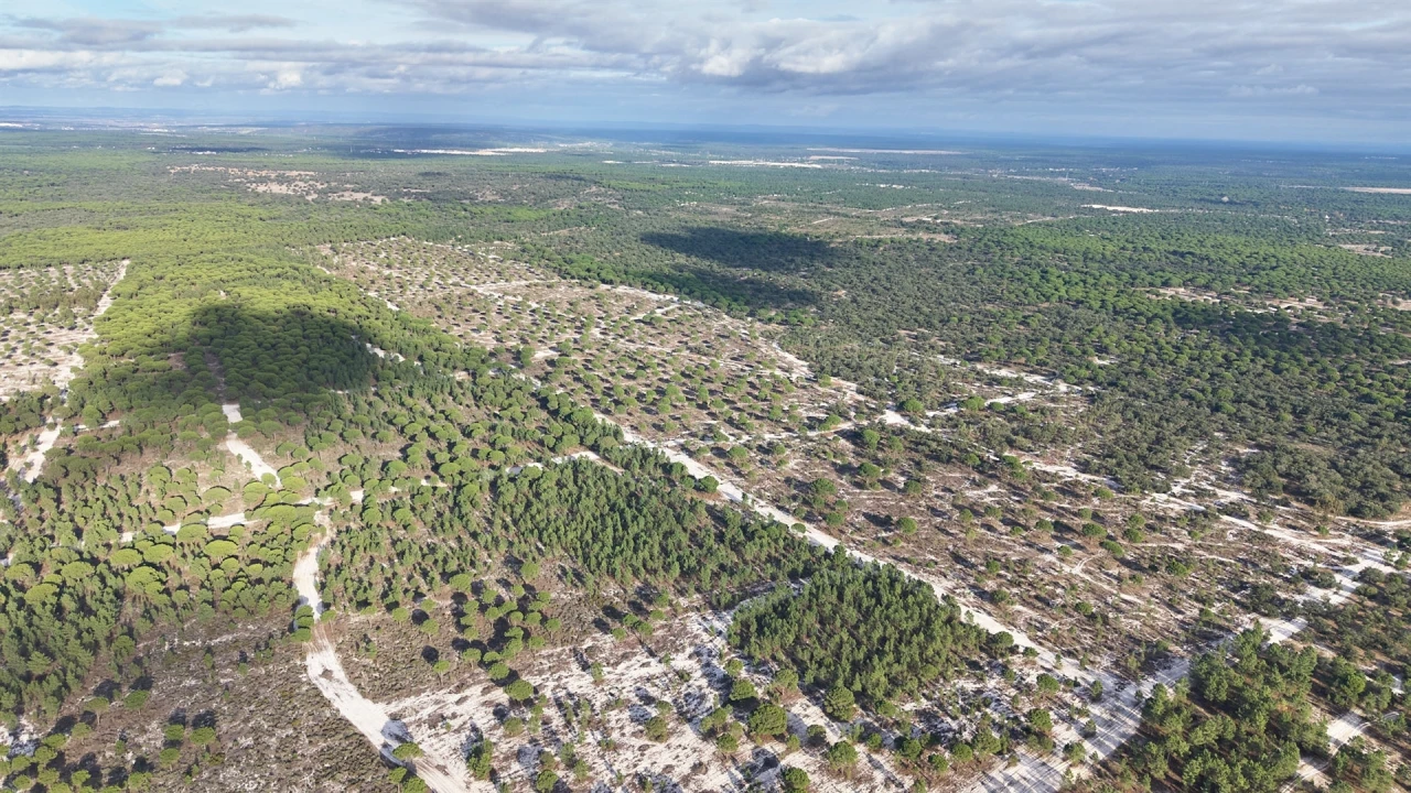 Terreno para Venda em Grândola e Santa Margarida da Serra Foto 2