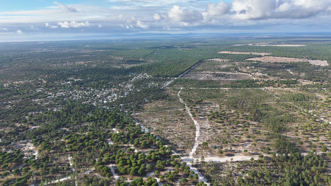 Terreno para Venda em Grândola e Santa Margarida da Serra Foto 14