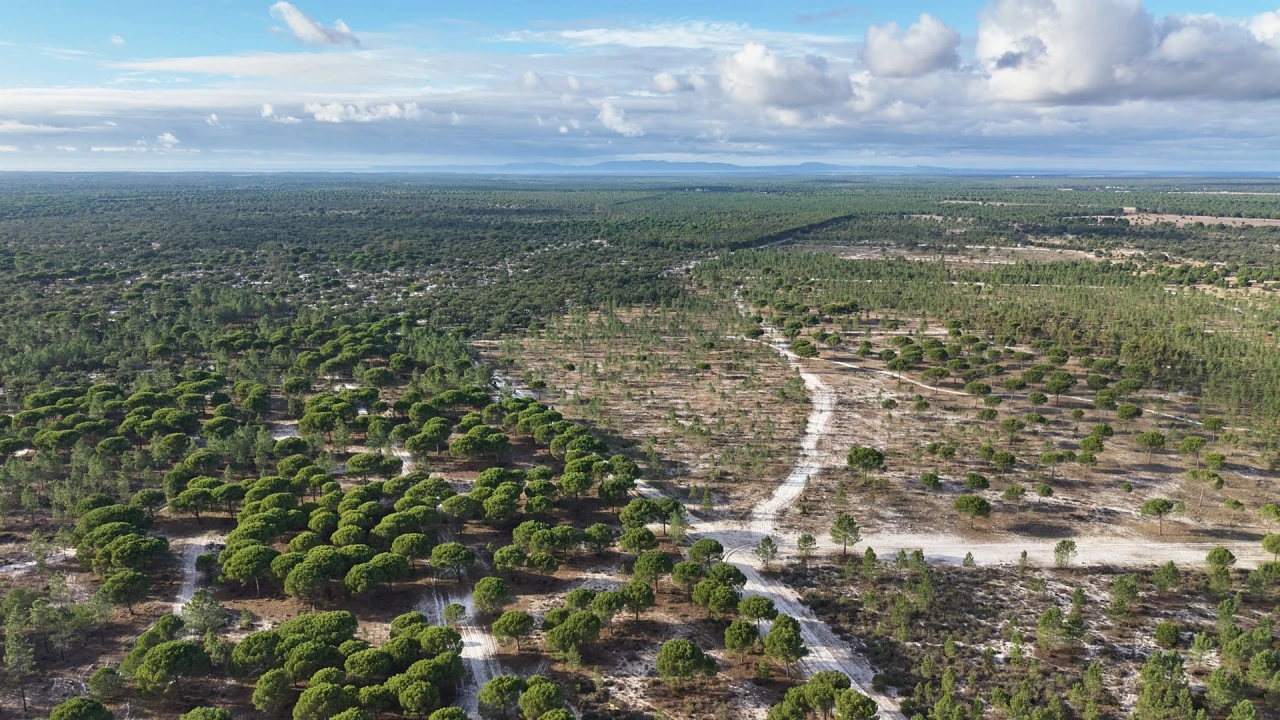 Terreno para Venda em Grândola e Santa Margarida da Serra Foto 13