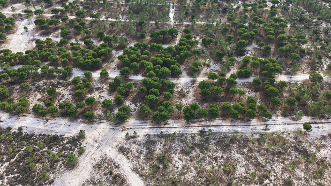 Terreno para Venda em Grândola e Santa Margarida da Serra Foto 9