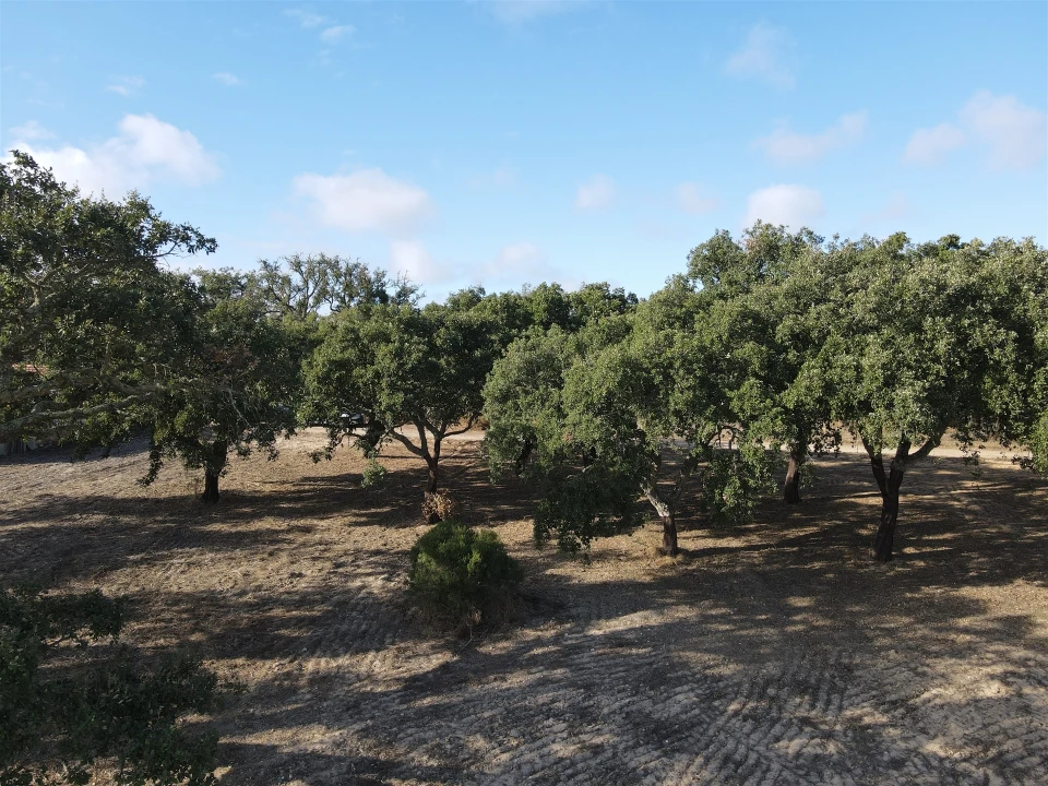 Terreno para Venda em Grândola e Santa Margarida da Serra Foto 18