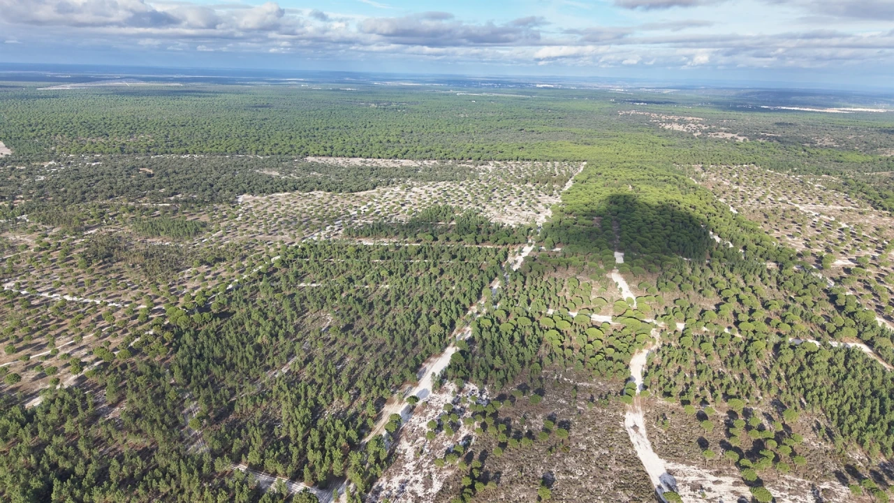Terreno para Venda em Grândola e Santa Margarida da Serra Foto 4