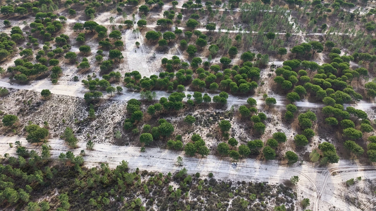 Terreno para Venda em Grândola e Santa Margarida da Serra Foto 10