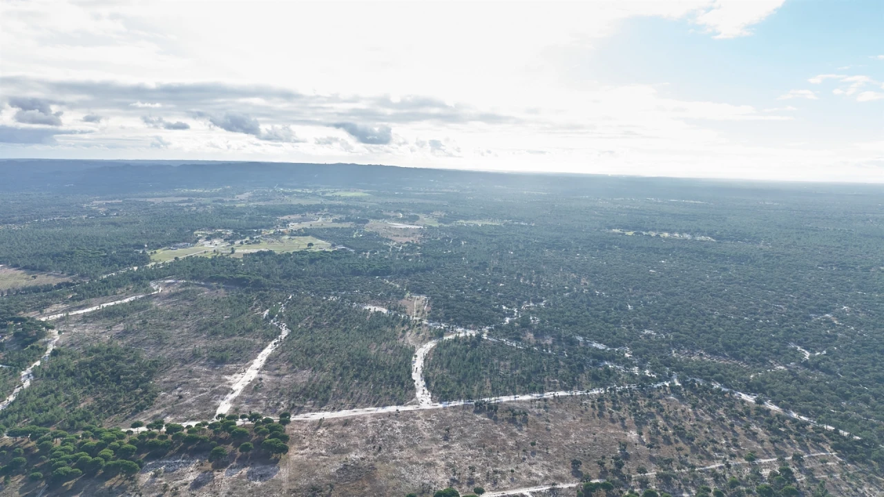 Terreno para Venda em Grândola e Santa Margarida da Serra Foto 26