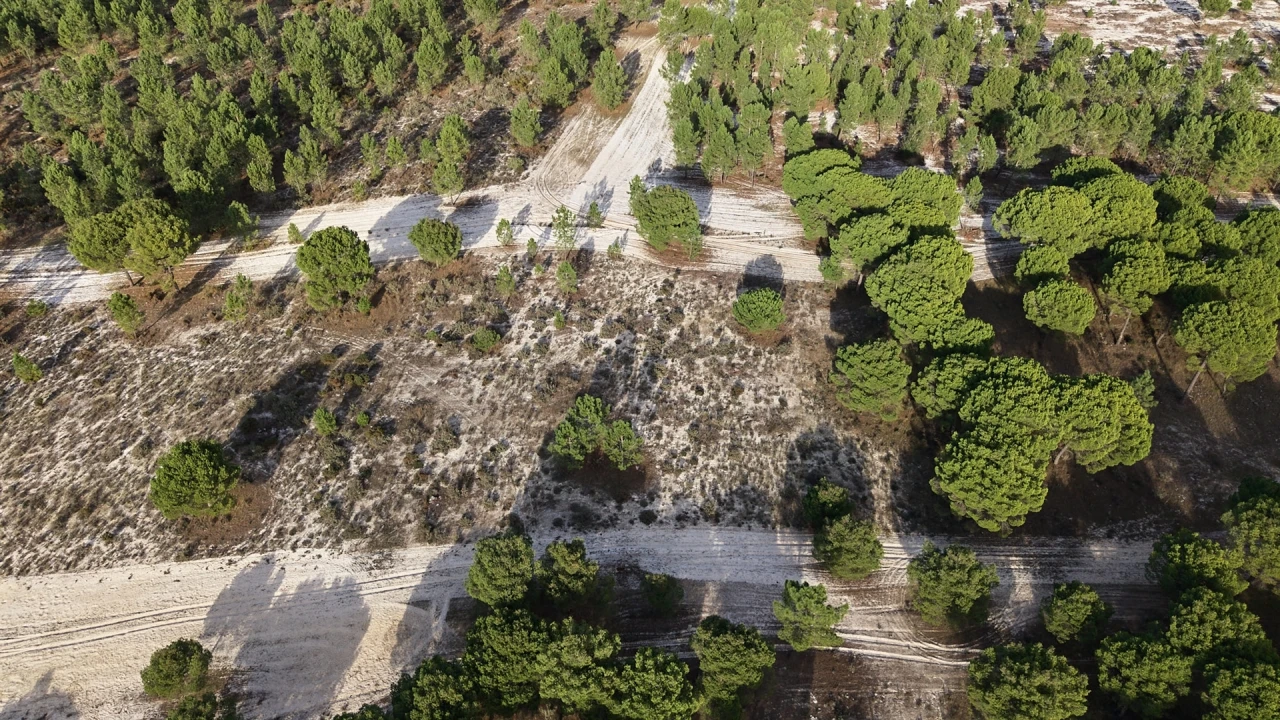 Terreno para Venda em Grândola e Santa Margarida da Serra Foto 18