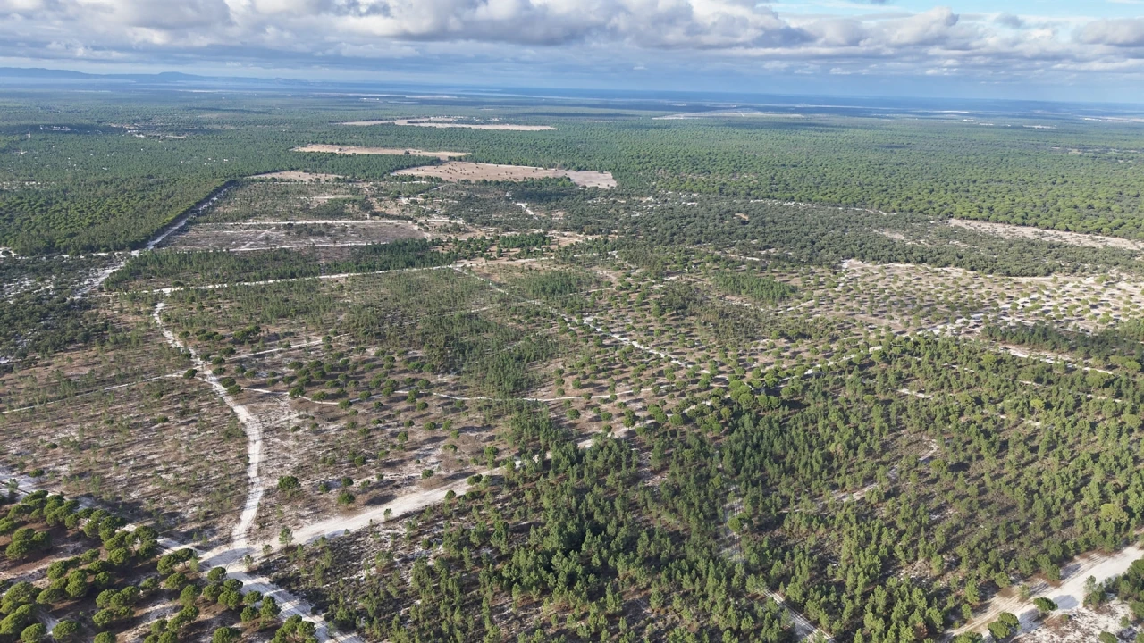 Terreno para Venda em Grândola e Santa Margarida da Serra Foto 22