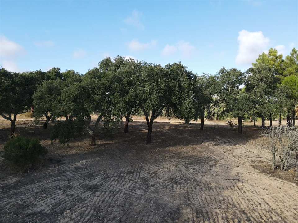Terreno para Venda em Grândola e Santa Margarida da Serra Foto 20
