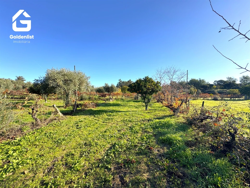 Quinta T3 para Venda em Escalos de Cima e Lousa Foto 55