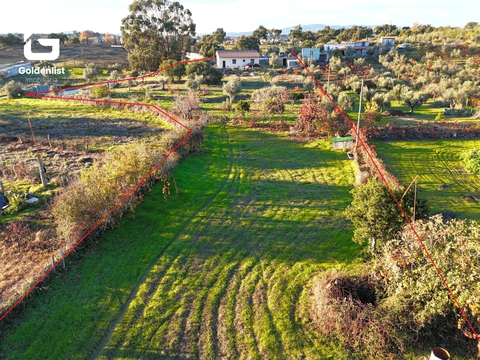 Quinta T3 para Venda em Escalos de Cima e Lousa Foto 25