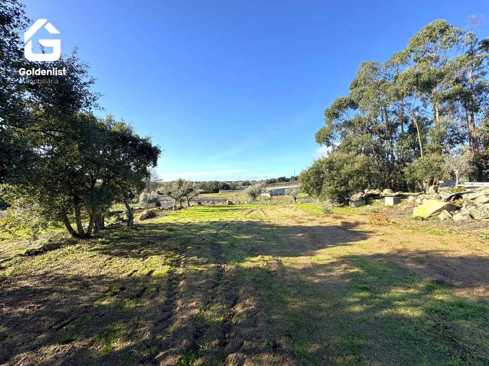 Quinta T3 para Venda em Escalos de Cima e Lousa Foto 62
