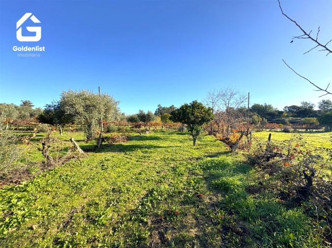 Quinta T3 para Venda em Escalos de Cima e Lousa Foto 55
