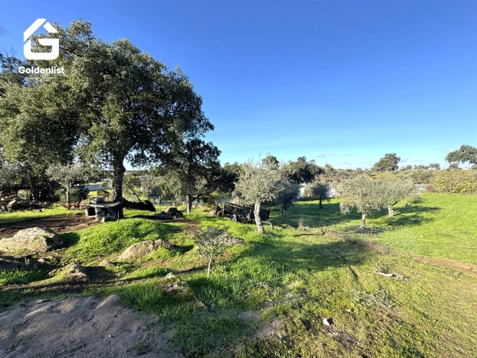 Quinta T3 para Venda em Escalos de Cima e Lousa Foto 34