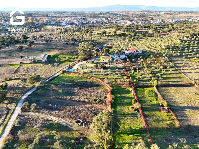 Quinta T3 para Venda em Escalos de Cima e Lousa Foto 2