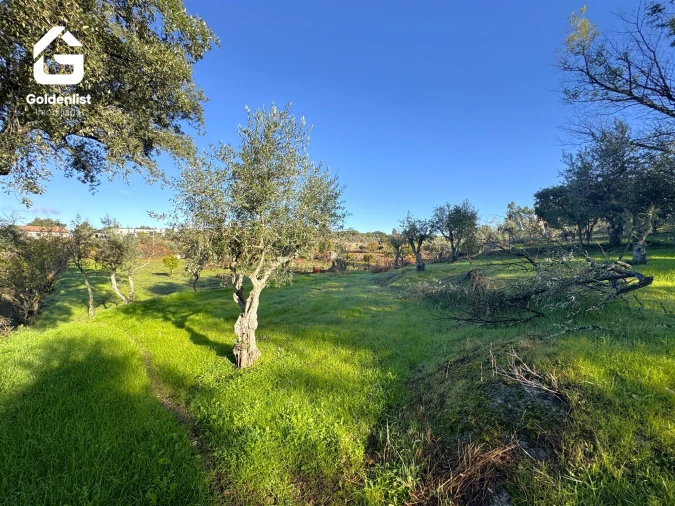 Quinta T3 para Venda em Escalos de Cima e Lousa Foto 47
