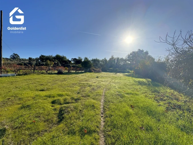 Quinta T3 para Venda em Escalos de Cima e Lousa Foto 45
