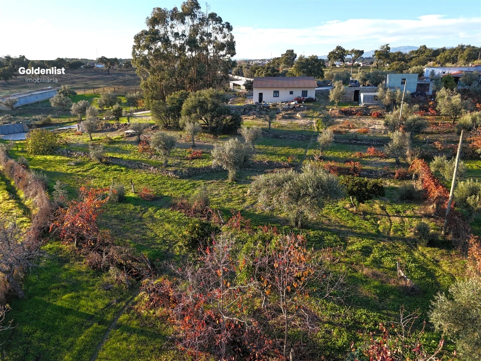 Quinta T3 para Venda em Escalos de Cima e Lousa Foto 26