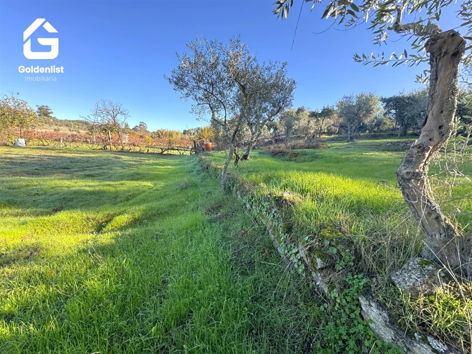 Quinta T3 para Venda em Escalos de Cima e Lousa Foto 48