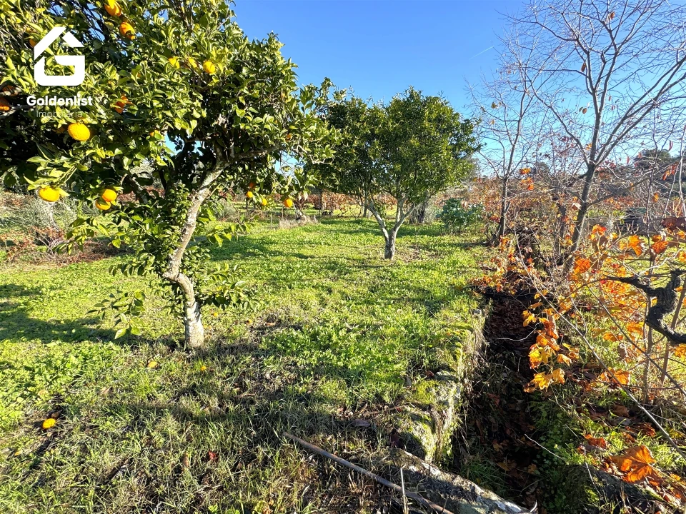 Quinta T3 para Venda em Escalos de Cima e Lousa Foto 44