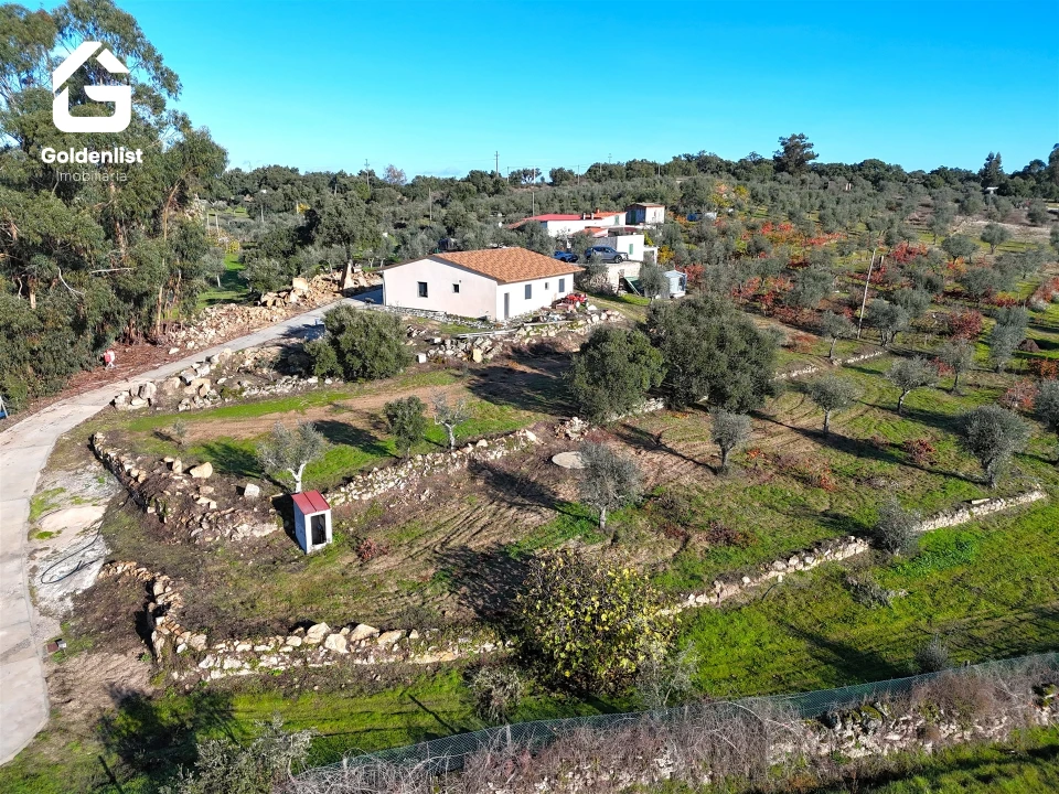 Quinta T3 para Venda em Escalos de Cima e Lousa Foto 21