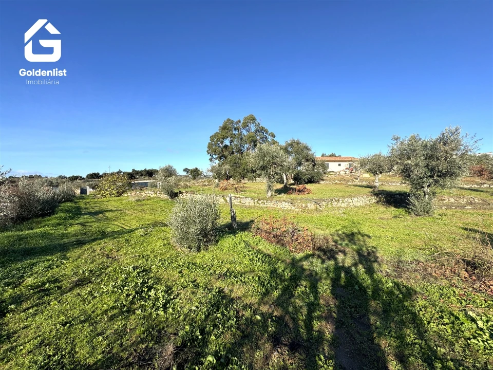 Quinta T3 para Venda em Escalos de Cima e Lousa Foto 54