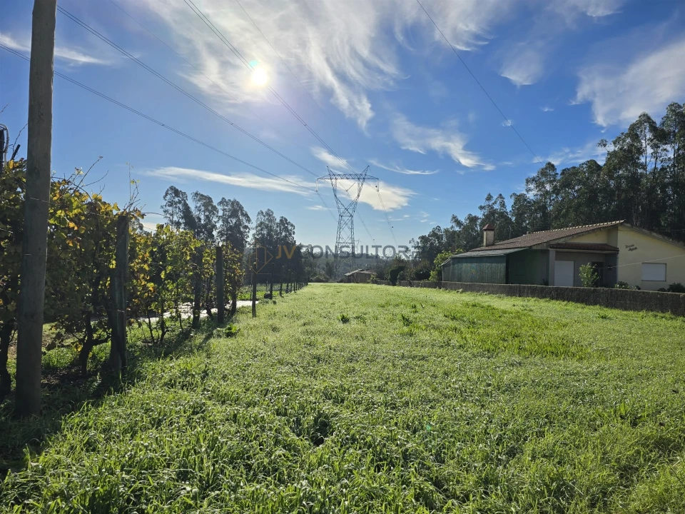 Terreno Agricola ou Rústico para Venda em Loureiro Foto 11