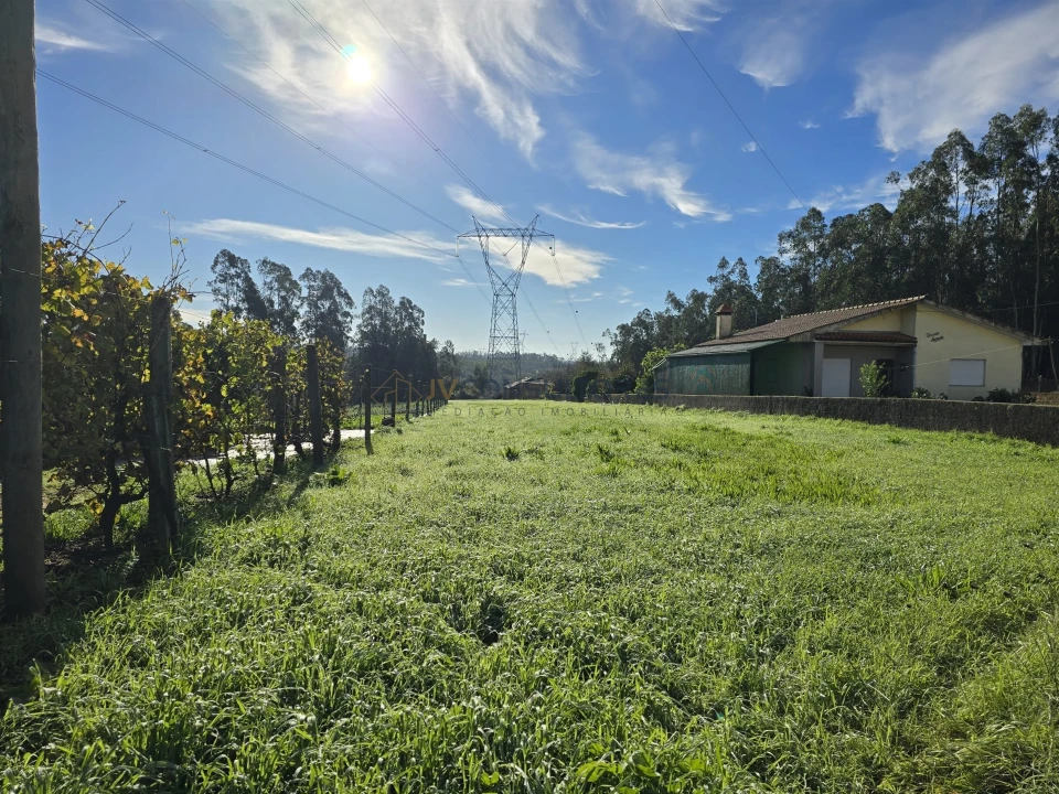 Terreno Agricola ou Rústico para Venda em Loureiro Foto 4