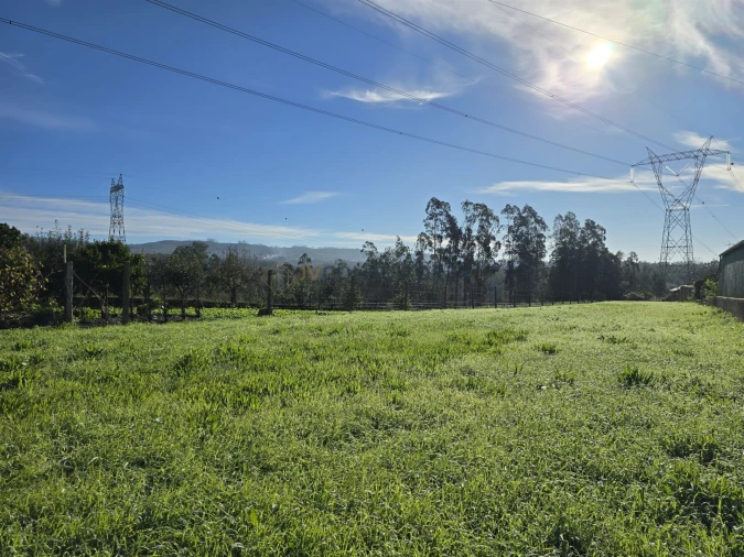 Terreno Agricola ou Rústico para Venda em Loureiro Foto 10