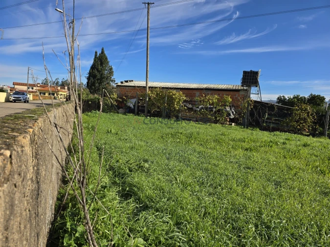 Terreno Agricola ou Rústico para Venda em Loureiro Foto 9