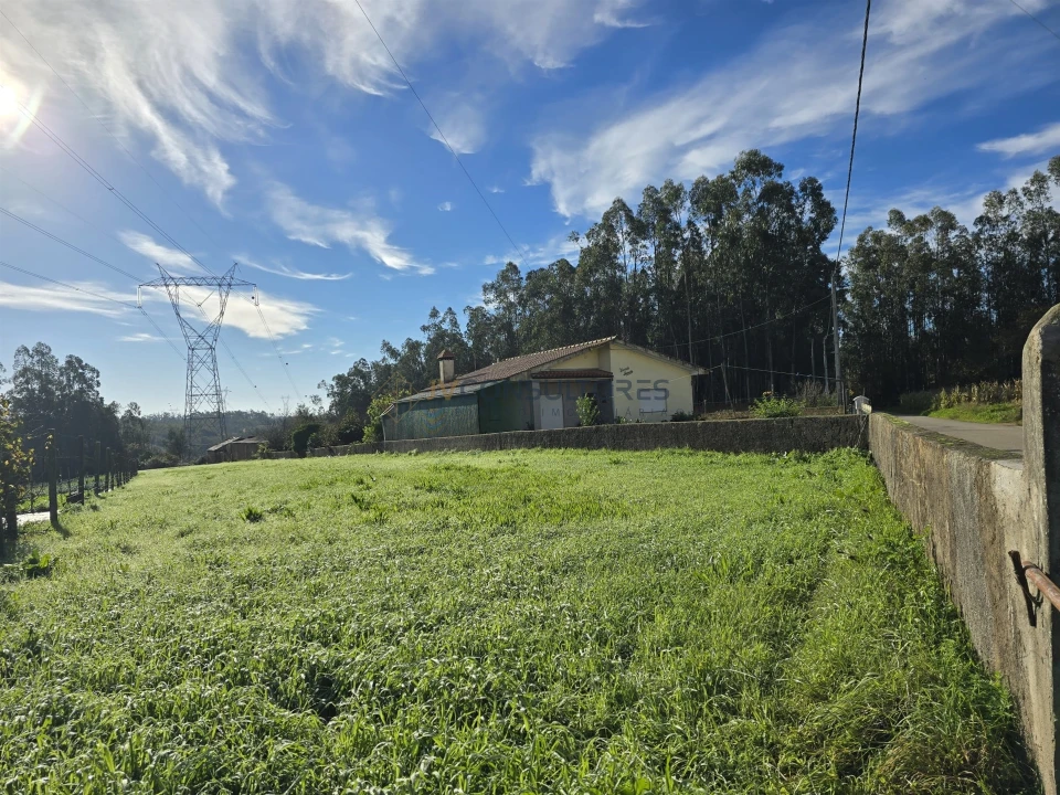Terreno Agricola ou Rústico para Venda em Loureiro Foto 8