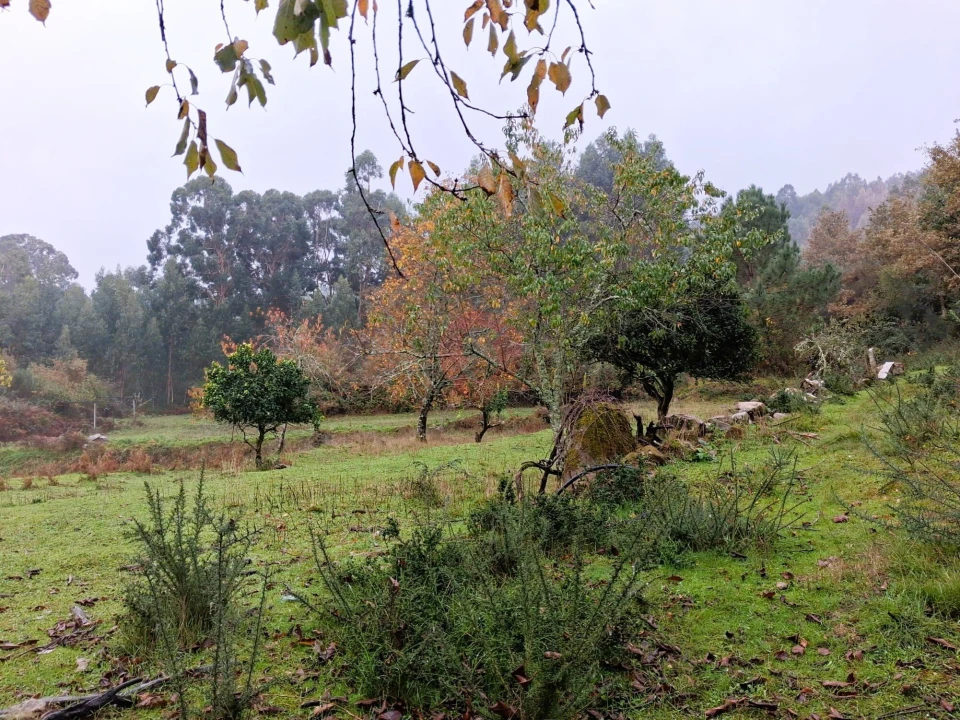 Moradia T2 para Venda em Portela Foto 10