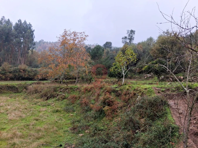 Moradia T2 para Venda em Portela Foto 11