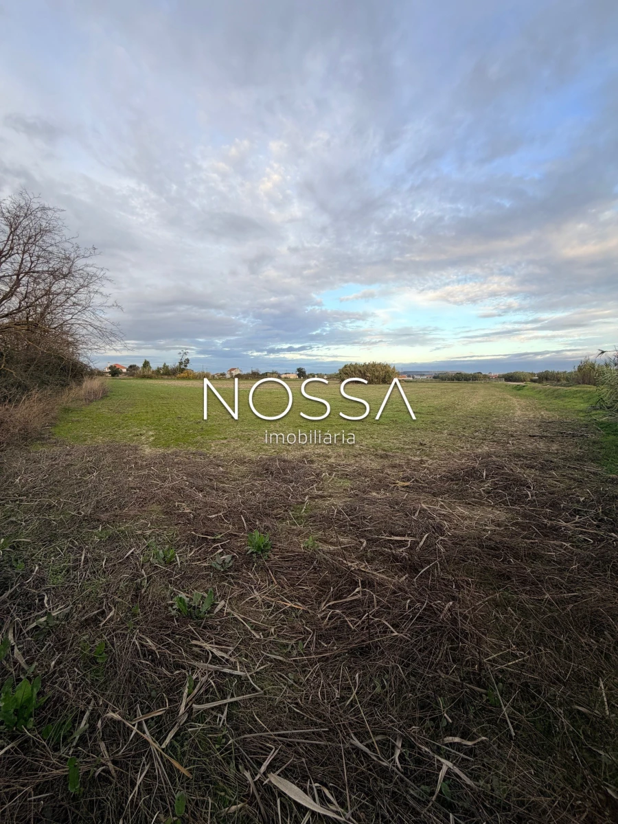 Terreno para Venda em Alhos Vedros Foto 6