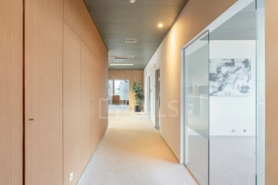 Escritório para Arrendamento em Campo de Ourique