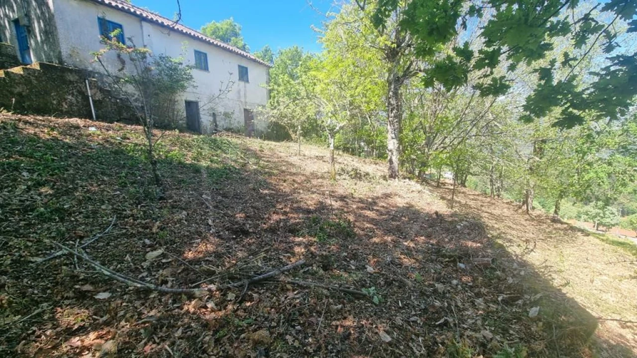 Moradia para Venda em Salvador e Santo Aleixo de Além-Tâmega Foto 3