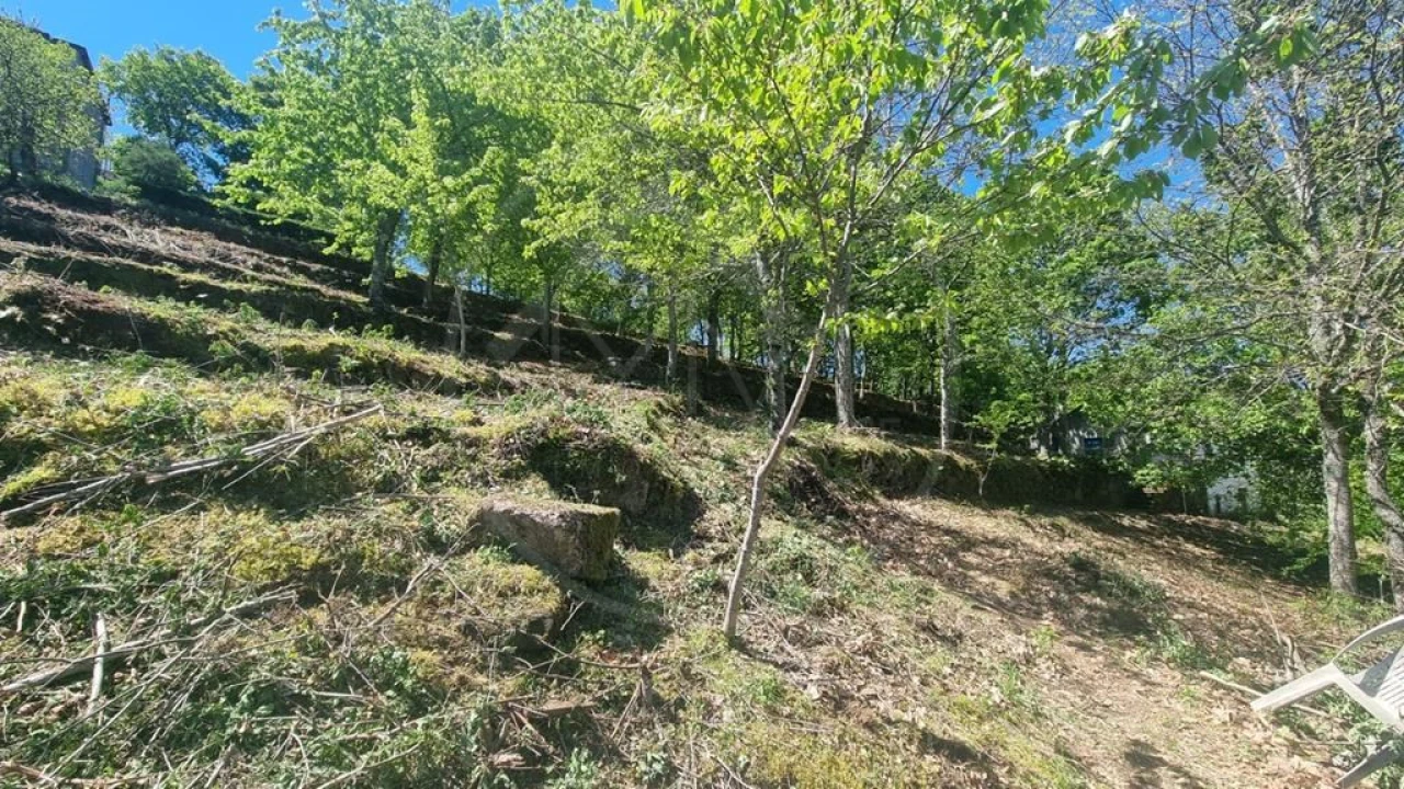 Moradia para Venda em Salvador e Santo Aleixo de Além-Tâmega Foto 8