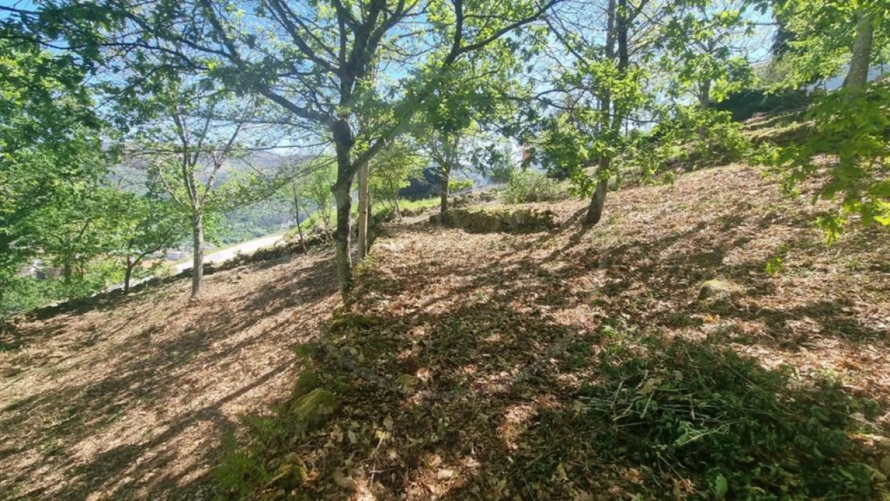 Moradia para Venda em Salvador e Santo Aleixo de Além-Tâmega Foto 9