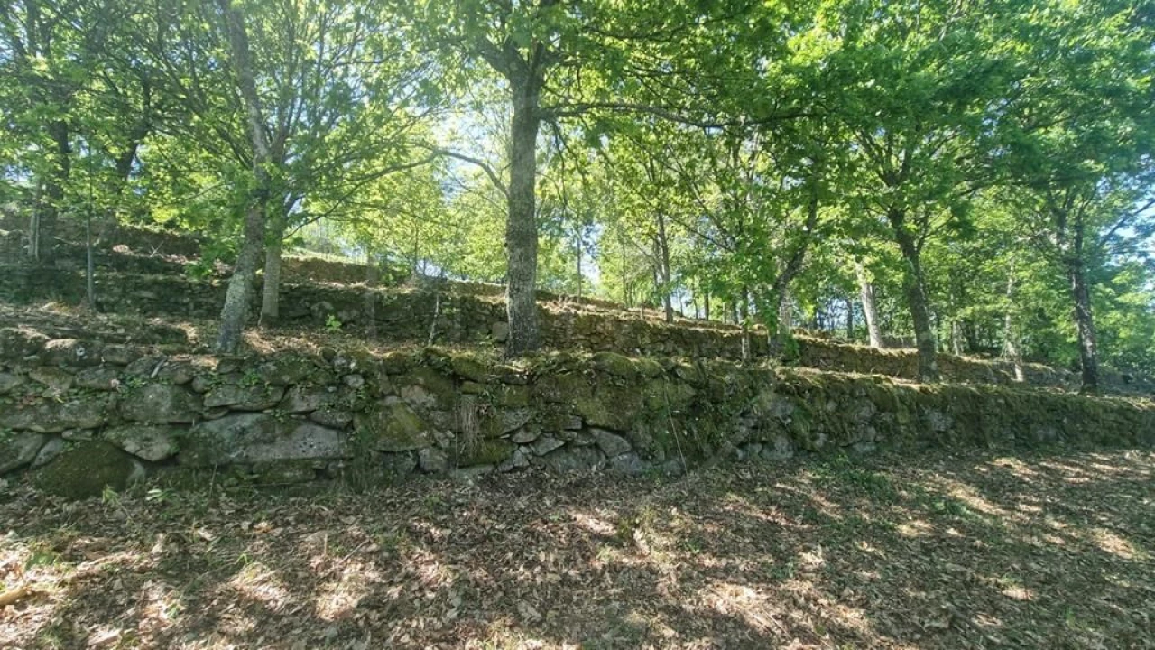 Moradia para Venda em Salvador e Santo Aleixo de Além-Tâmega Foto 11