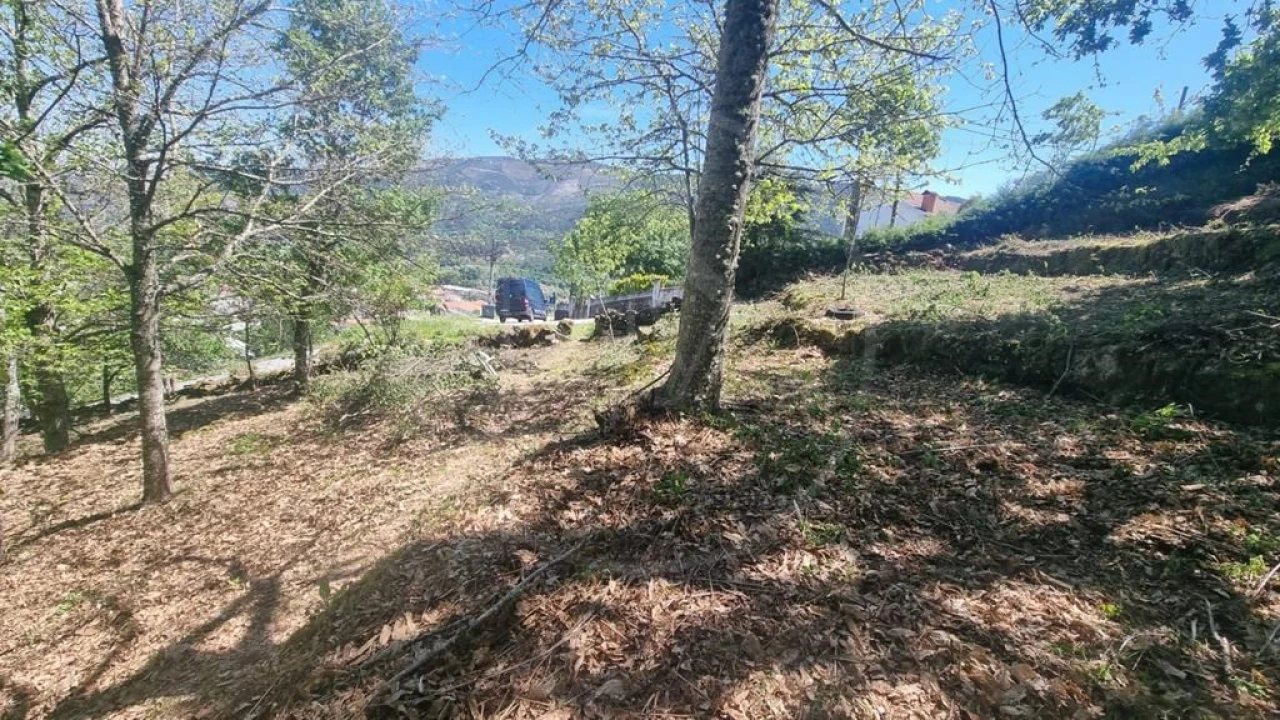 Moradia para Venda em Salvador e Santo Aleixo de Além-Tâmega Foto 12