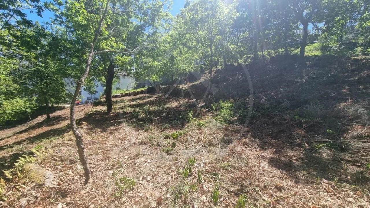 Moradia para Venda em Salvador e Santo Aleixo de Além-Tâmega Foto 17